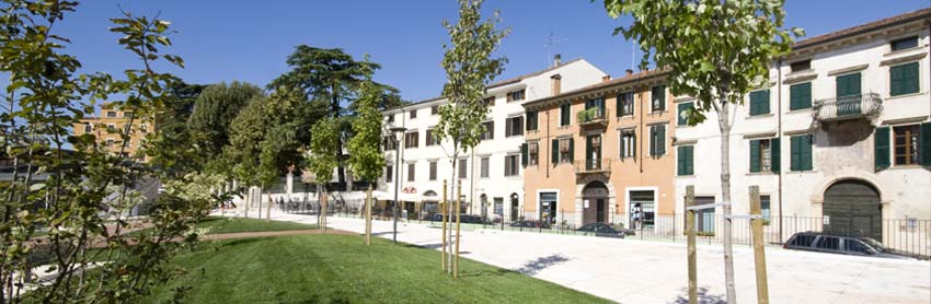 dove_01.jpg