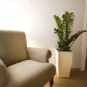 Particolare2